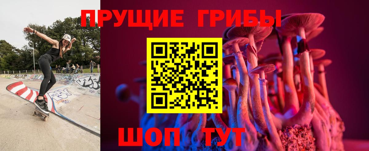 Псилоцибиновые грибы прущие грибы  Вход с VPN  Омск  где можно купить   Галлюциногенные грибы прущие грибы 